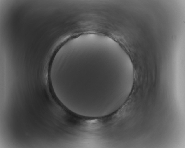 X0000089740054200707201910
