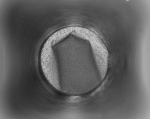 X0000089740055200707201910