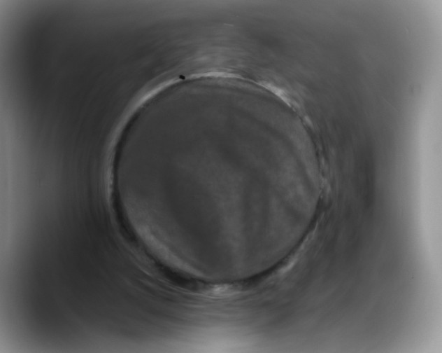 X0000089740056200707201910