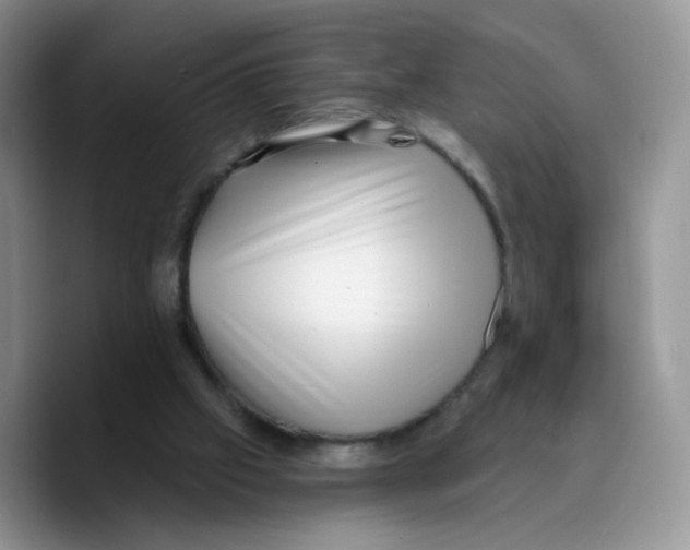 X0000089740057200707201910