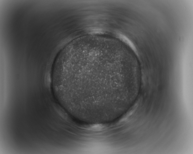 X0000089740059200707201910