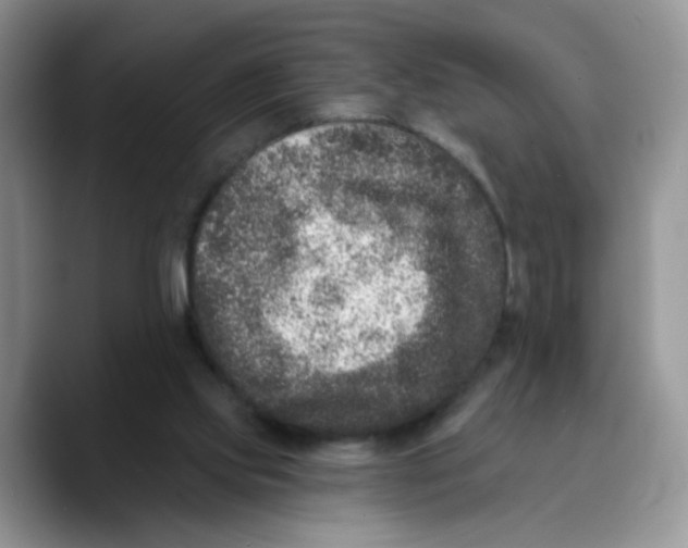 X0000089740061200707201910