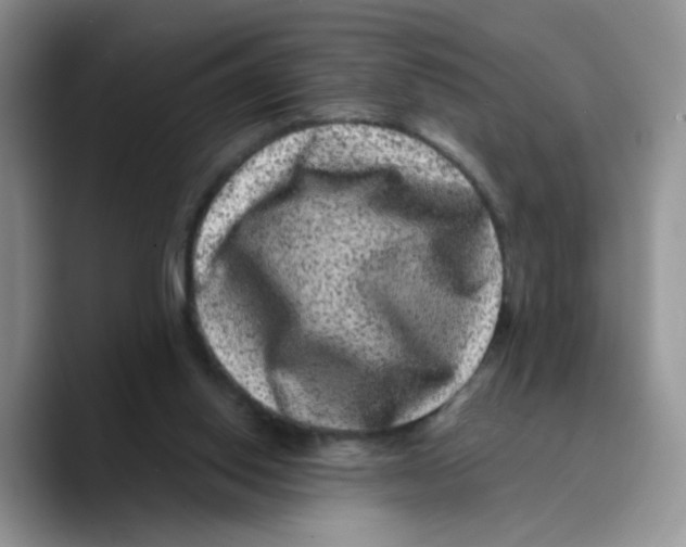X0000089740062200707201910