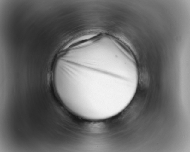 X0000089740063200707201910