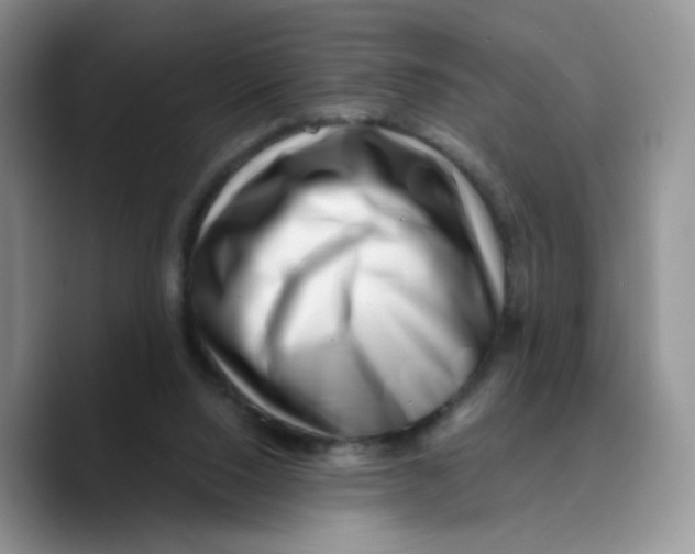 X0000089740064200707201910