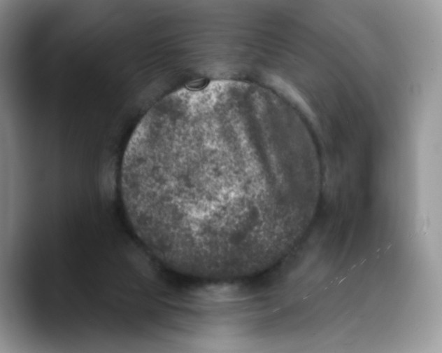 X0000089740065200707201910