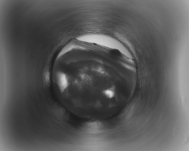 X0000089740067200707201910