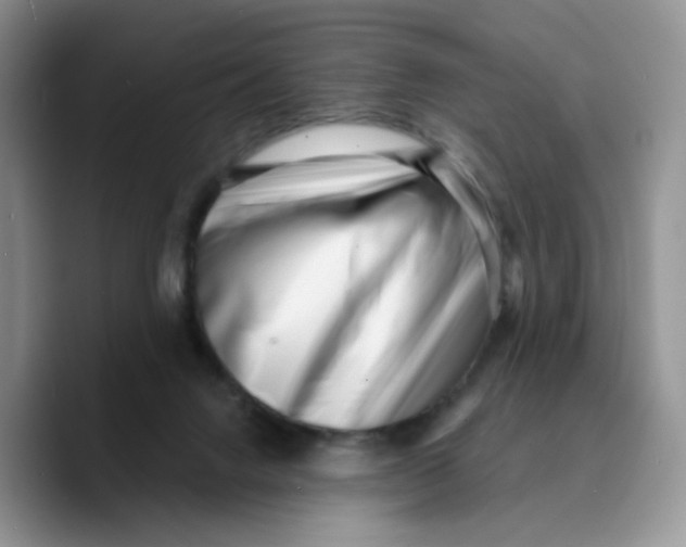 X0000089740072200707201910