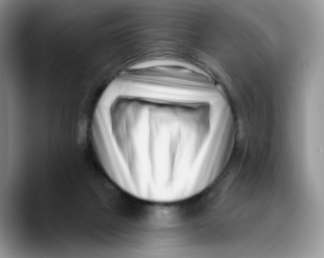 X0000089740073200707201910