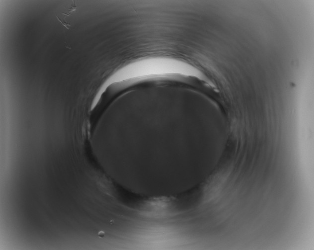 X0000089740076200707201910