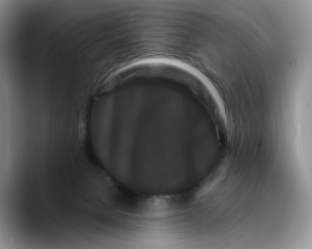 X0000089740080200707201910