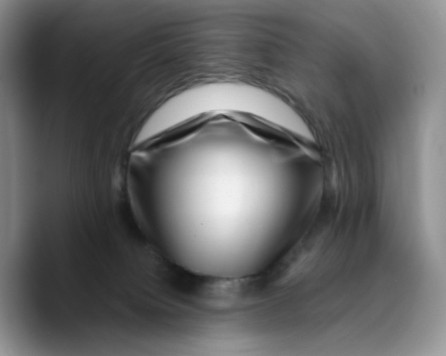 X0000089740084200707201910