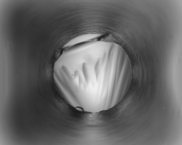 X0000089740092200707201910