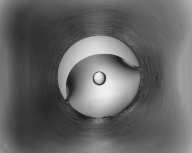 X0000089740096200707201910