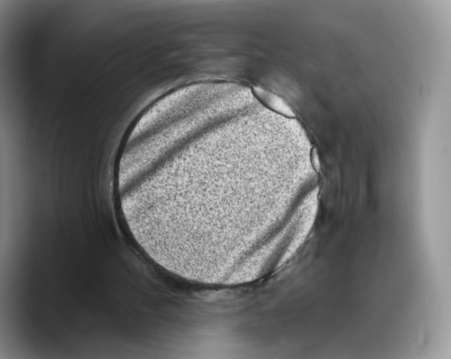 X0000089740100200707201910