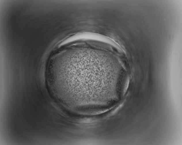 X0000089740101200707201910