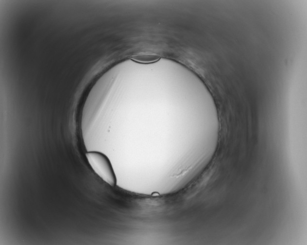 X0000089740102200707201910