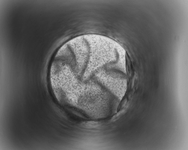 X0000089740104200707201910
