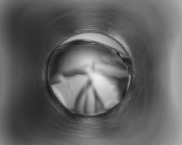 X0000089740105200707201910