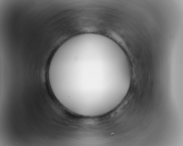 X0000089740106200707201910