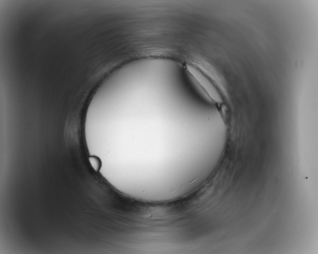 X0000089740107200707201910