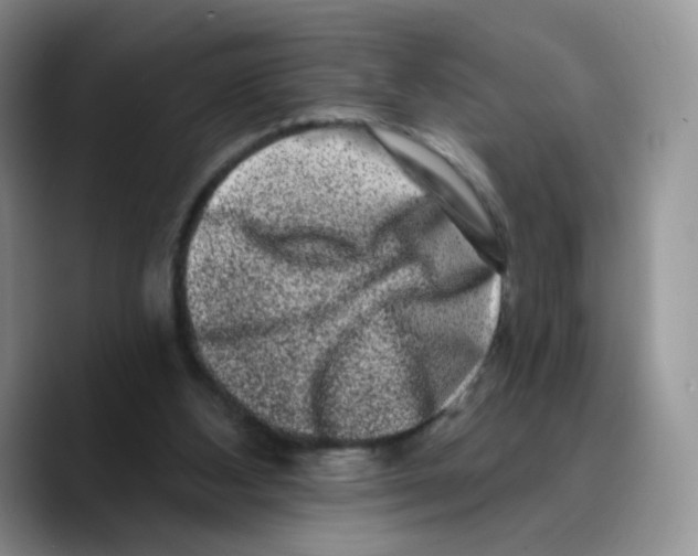 X0000089740108200707201910