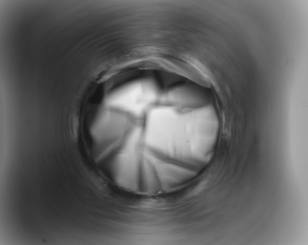 X0000089740109200707201910