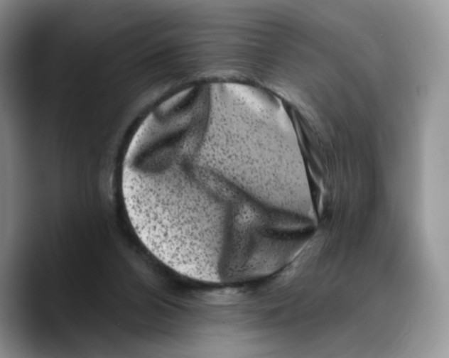 X0000089740112200707201910
