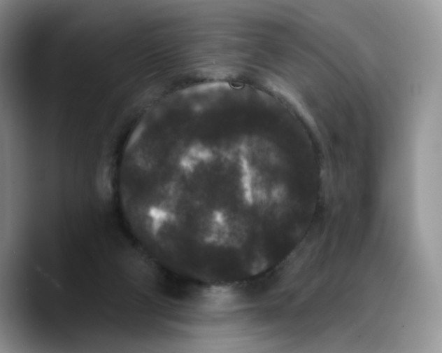 X0000089740114200707201910