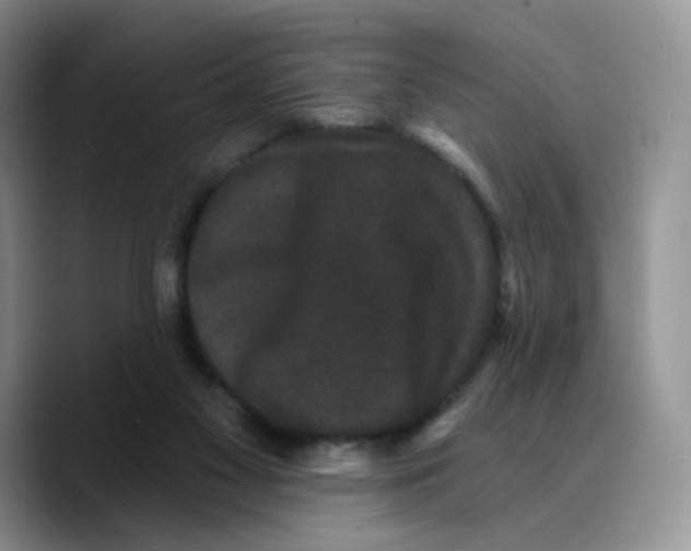 X0000089740117200707201910