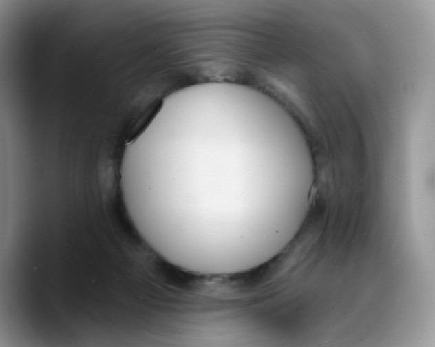X0000089740121200707201910