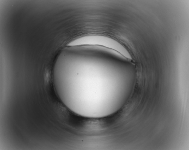 X0000089740123200707201910