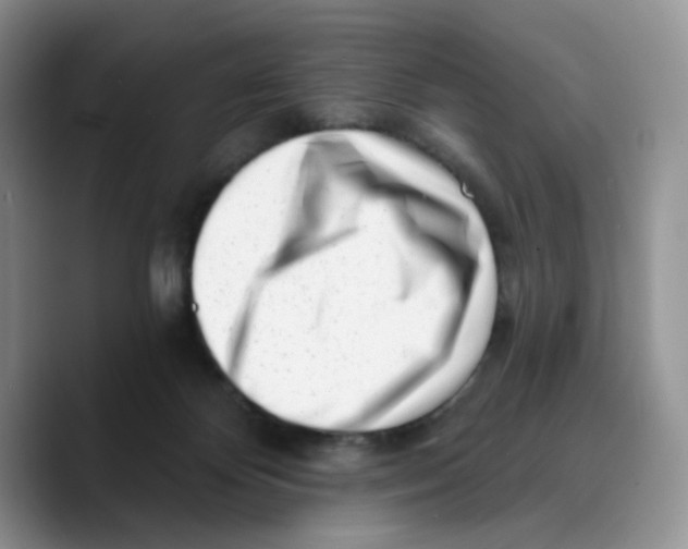 X0000089740124200707201910