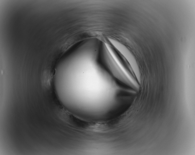X0000089740125200707201909