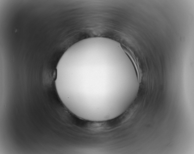 X0000089740129200707201909