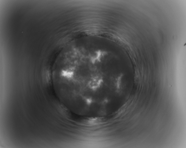 X0000089740130200707201909