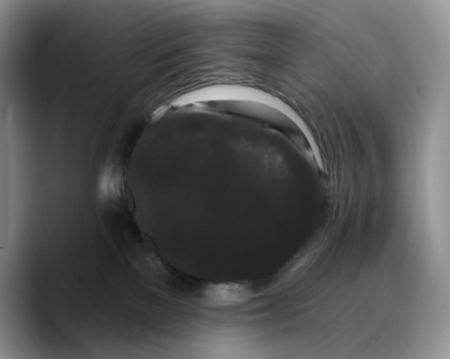 X0000089740137200707201909
