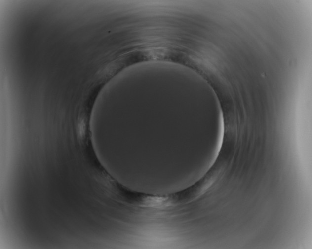 X0000089740139200707201909