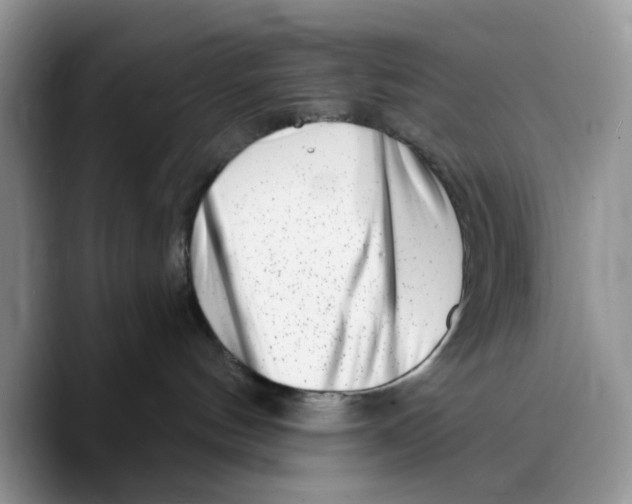 X0000089740144200707201909