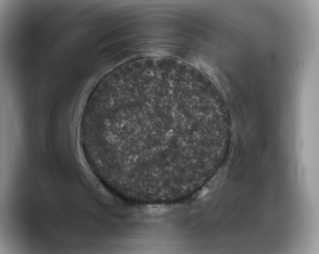 X0000089740145200707201909