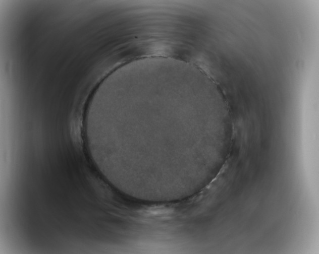 X0000089740146200707201909
