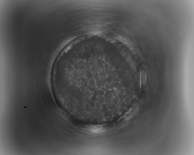 X0000089740147200707201909
