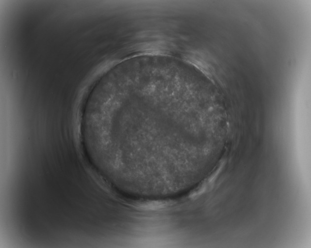 X0000089740149200707201909