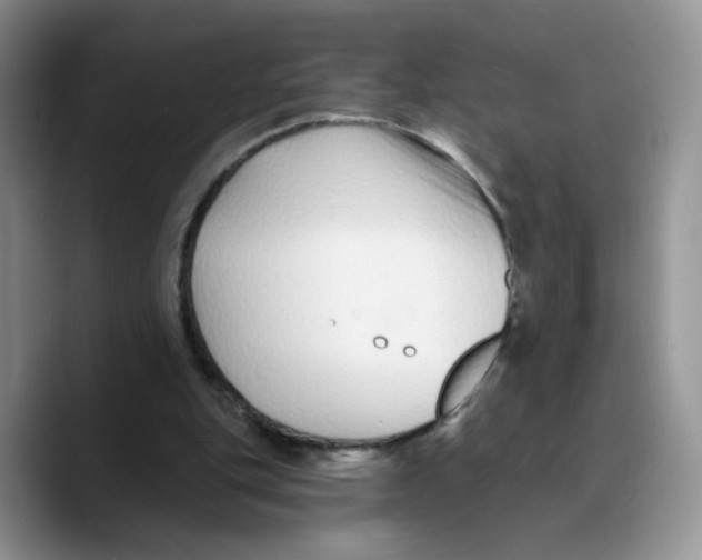 X0000089740151200707201909