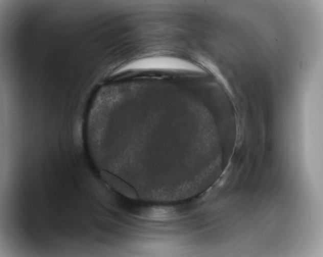X0000089740154200707201909
