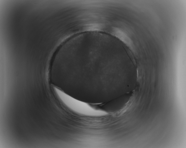 X0000089740156200707201909