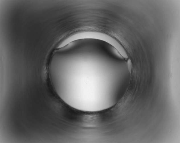 X0000089740160200707201909