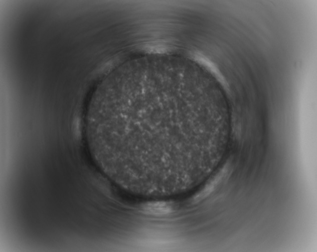 X0000089740161200707201909