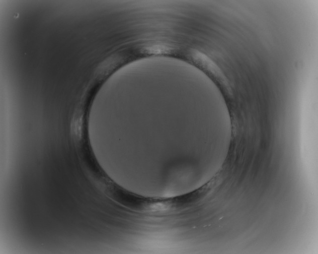 X0000089740163200707201909