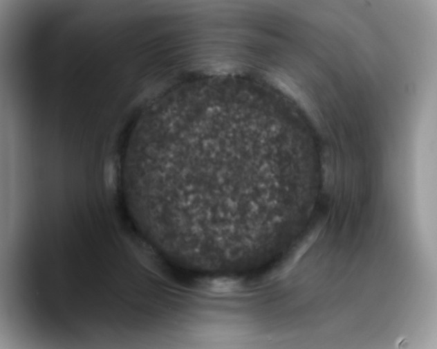 X0000089740165200707201909